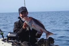 Cebos para la pesca del denti