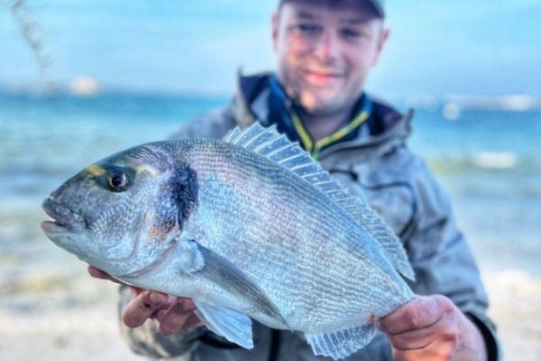Una hermosa dorada capturada en una playa protegida del norte de Finisterre