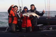 El equipo Honda Marine Kerfil