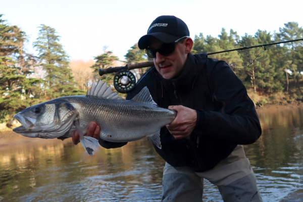 Qu tipo de posicin debe buscar para pescar grandes lubinas a mosca?