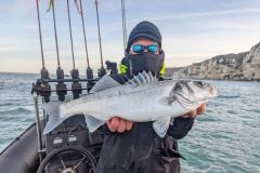 Pesca de lubinas en otoño