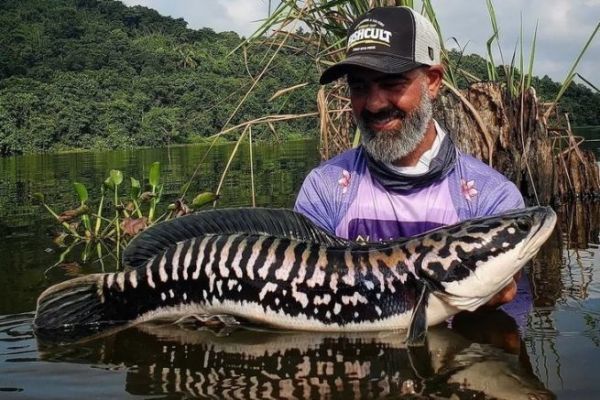Pesca de la cornuda gigante: equipo necesario para cada técnica