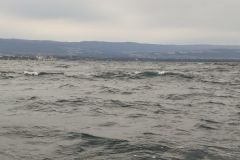 La influencia de la luna en la pesca mar�tima