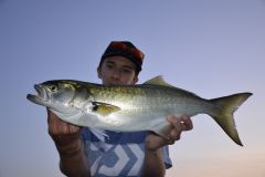 ¿Dónde puedo encontrar tassergals?