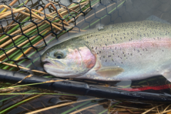Una primera salida al embalse con peces.