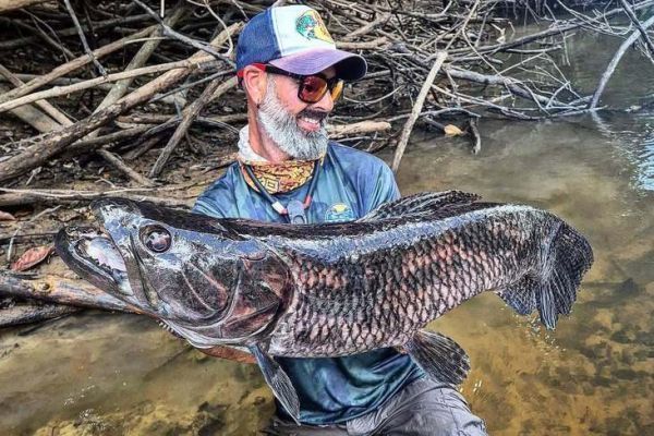 La pesca del amara: a la caza del superpredador amaznico