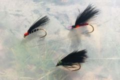 Los cormoranes son verdaderos imanes para las truchas