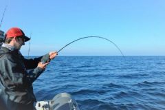 Declaracin obligatoria de capturas en 2026