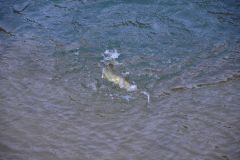 Empezar a pescar en invierno