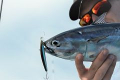 Curricn ligero en el mar