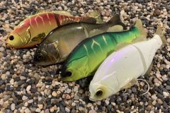 �Vuelve el Gantarel d'Illex!