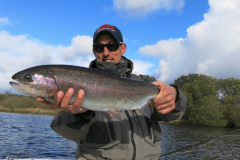 El zumbador shipman es una de las mejores imitaciones de la aparici�n de un quiron�mido