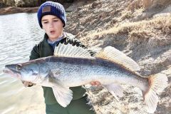 Pesca del lucioperca desde la orilla