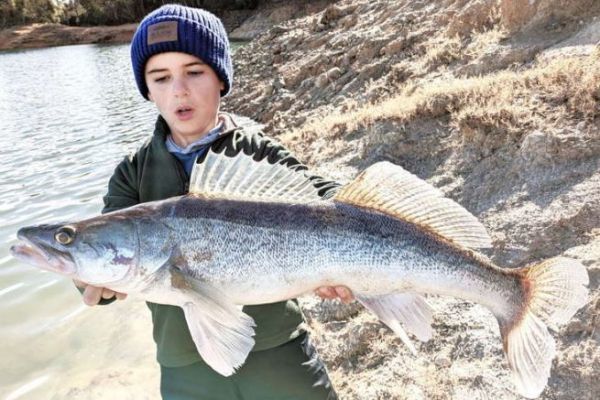 Pesca del lucioperca desde la orilla
