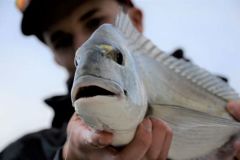 Pesca con cebo desde la playa