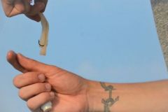 Pesca mar�tima de invierno con cr�a de calamar