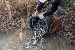 ¿A qué se destina el dinero de los pases de pesca?