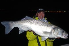 Enorme barra tomada en barco al atardecer
