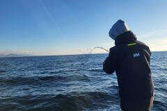 Equipo para la pesca del lucioperca