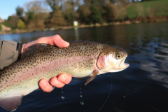 La pesca con quiropr�ctico siempre es emocionante