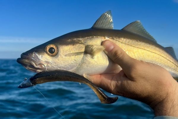 Atrapar el primer pez es un momento especial.