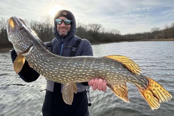 Pesque lucios durante la temporada de veda, como aquí en Jurassik Pike.