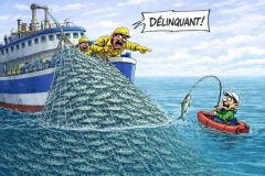 Caballa sujeta a cuota y declaraci�n en 2026