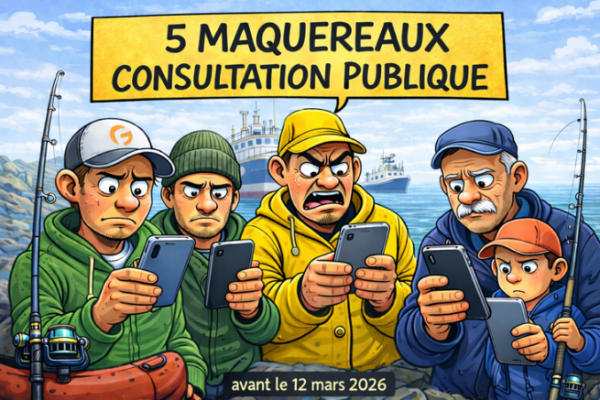 Consulta pública sobre las 5 caballas y su declaración: dé su opinión