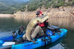 Pesca del siluro con gusano