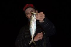 Pesca de gallineta n�rdica
