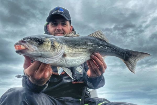 Pesca de la lubina: �c�mo empezar bien la temporada en barco?