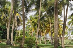 Pesca en las Antillas