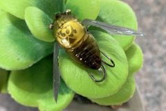 El nano siglett mide 2,4 cm.