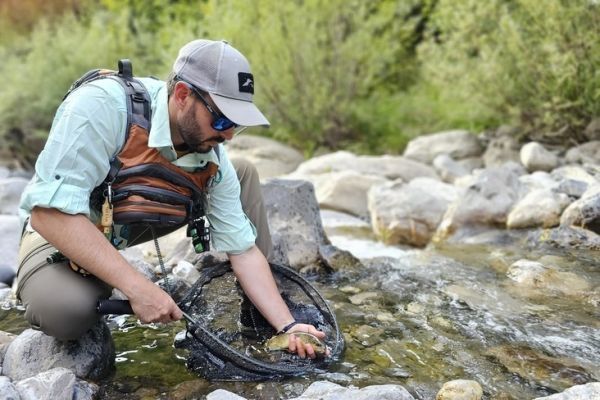 Field and Fish: el equipo adecuado para pescar truchas