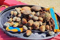 Retorno de las mareas altas