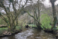 Una sesi�n de ritmo r�pido con algunas truchas bonitas y activas.