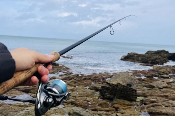 �Pesca de lubinas con marea alta o baja?