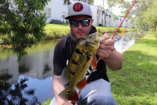 Pesca callejera en Miami: estrategia, exploraci�n y observaci�n