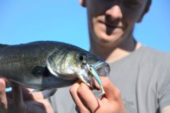 Pesca mar�tima de primavera