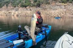 Pesca del siluro con cebo vivo
