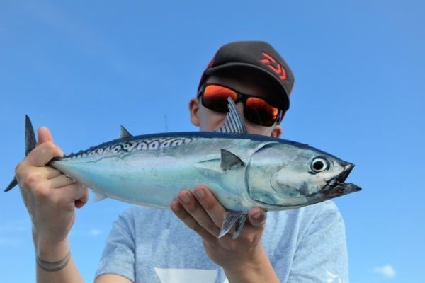 Pesca con se�uelos en el mar