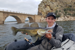 Peces debajo de los puentes o en sus alrededores