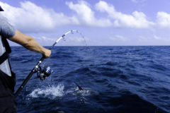 ¿Qué técnicas se utilizan para pescar en el mar?