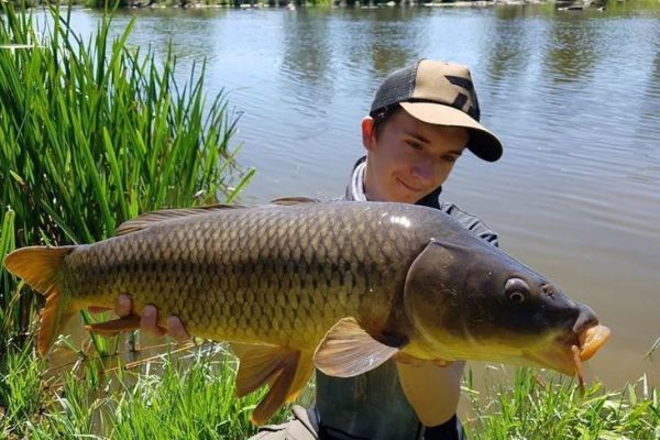 Pesca de la carpa desde la orilla