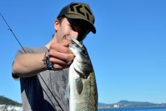 El equipo necesario para pescar con se�uelos en el mar