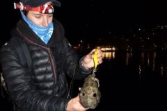 C�mo elegir una linterna frontal para pescar de noche