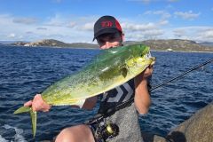 Pesca del corifeno