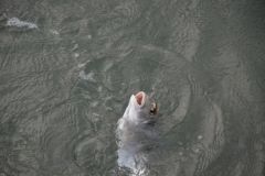 Pescar en el mar en oto�o