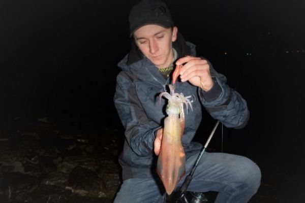 Pescar calamares por la noche