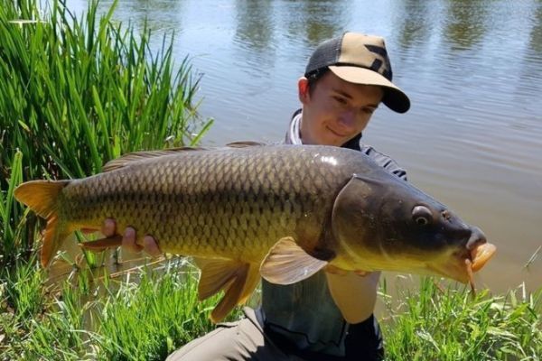 Pesca de la carpa en oto�o
